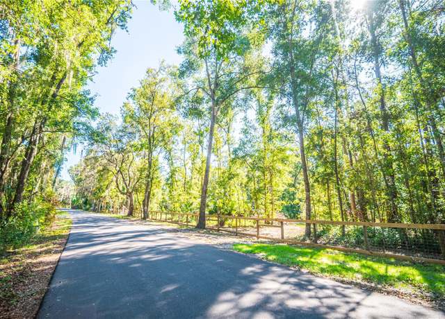 Tree-lined road and fence at the Micanopy, Florida property